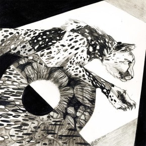 Cheetah