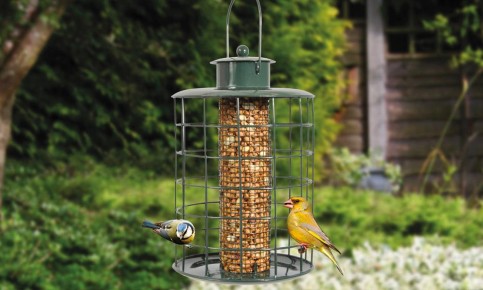 bird-feeder2