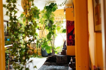 plant-room1