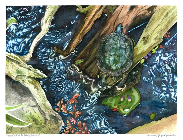 001-JAN-2018-Painted-Turtle-at-the-Butterfly-Conservatory-18x24-lrg