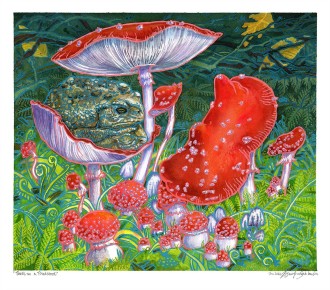 Toads on a Toadstool