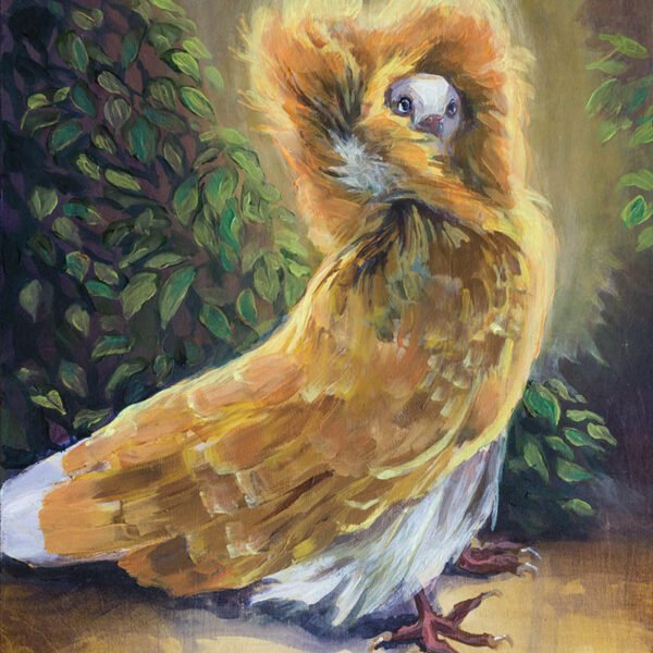 jacobin pigeon acrylic painting