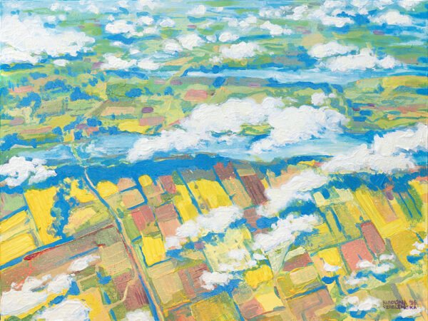 Farm View from Airplane acrylic painting by Karolina Szablewska
