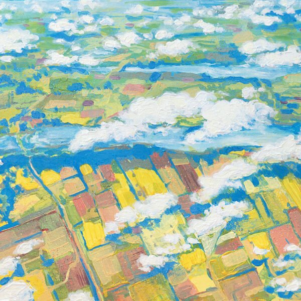 Farm View from Airplane acrylic painting by Karolina Szablewska