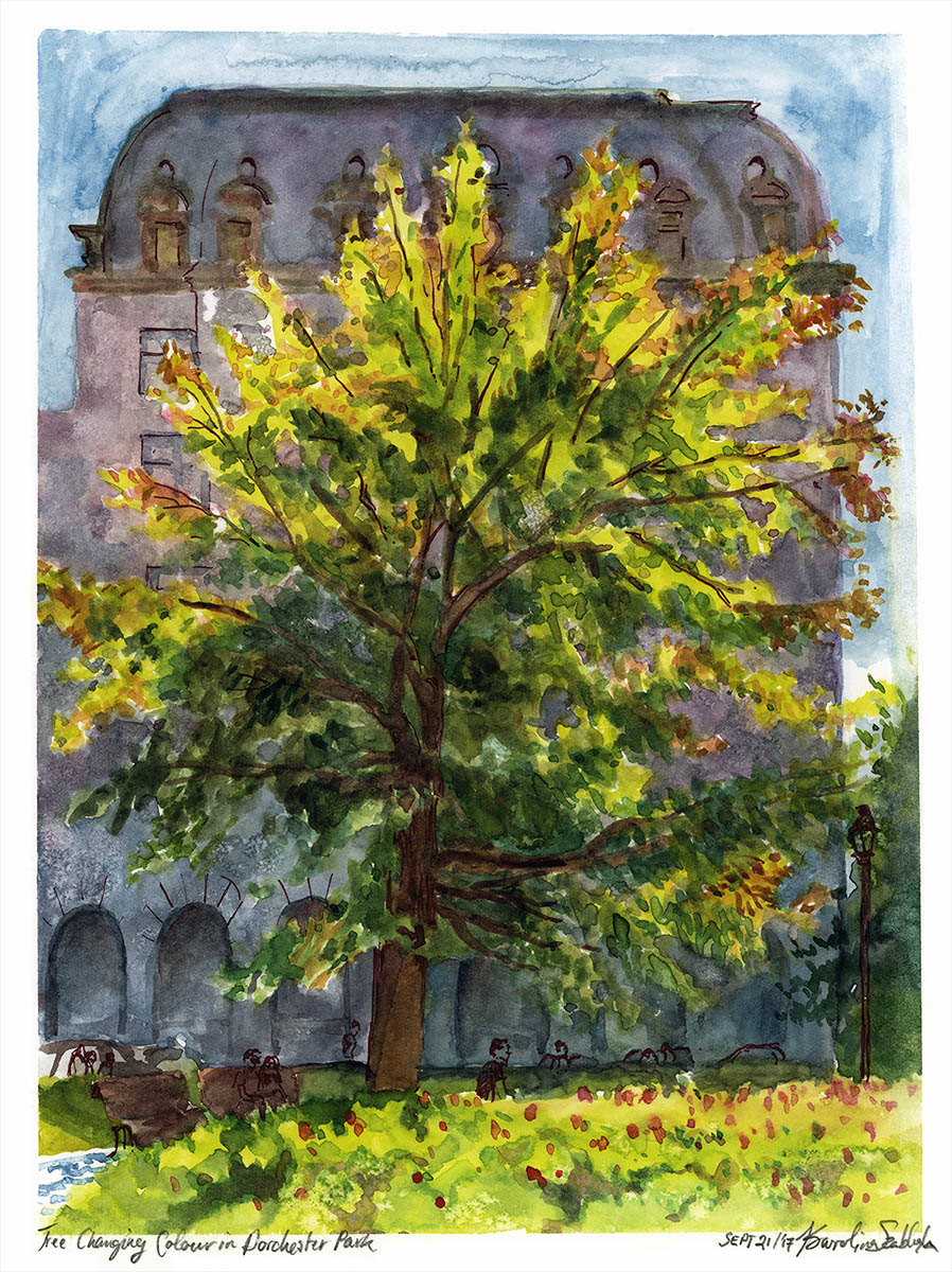 tree watercolor en plein air painting