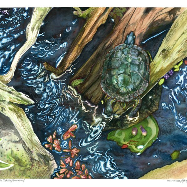 turtle sitting on driftwood watercolor painting