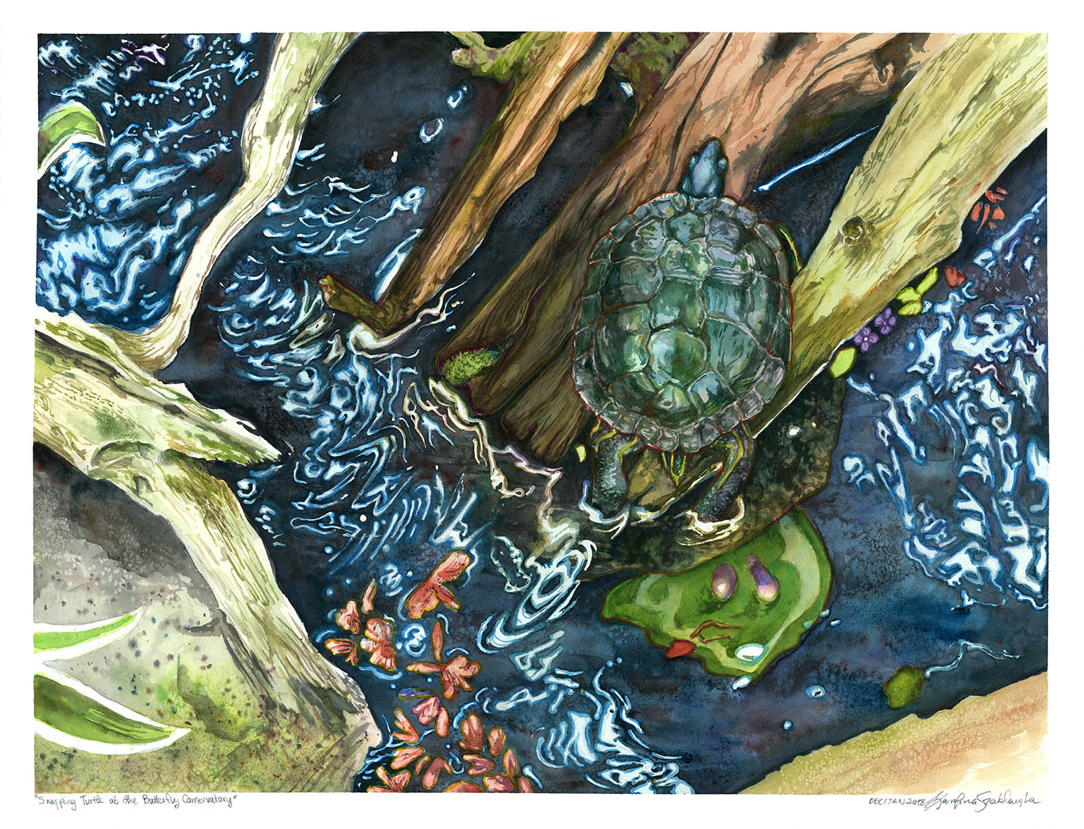 turtle sitting on driftwood watercolor painting