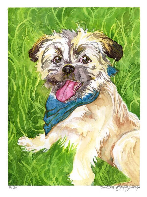 misu watercolor pet portrait dog portrait