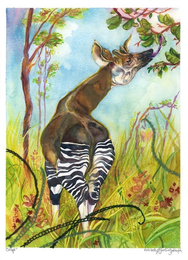 giraffe okapi watercolor mixed mediums