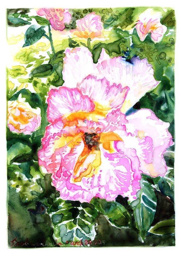 mottled rose watercolor on yupo paper