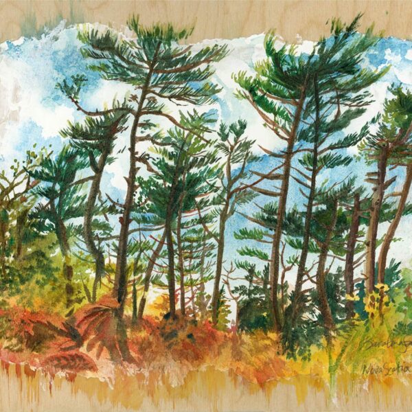nova scotia forest en plein air watercolor painting by karolina szablewska
