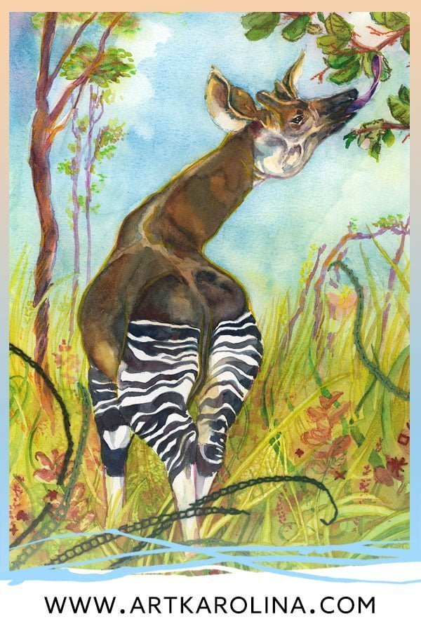 Okapi Art Prints - Extra Large Wall Art of Okapi with Embroidery / Animal Nursery Decor / African Safari Wildlife Art by Karolina Szablewska