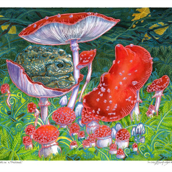 toads on a toadstool watercolor painting by karolina szablewska