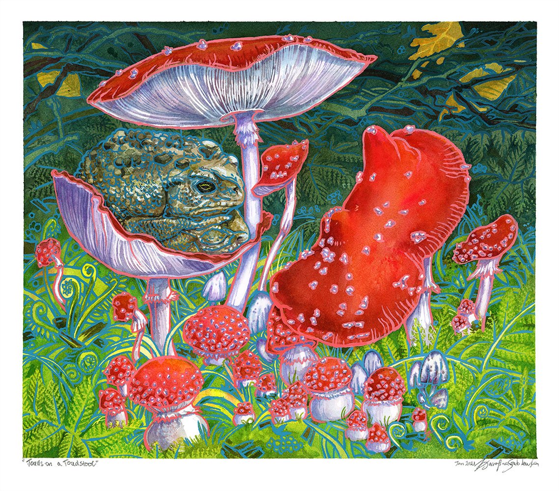 toads on a toadstool watercolor painting by karolina szablewska
