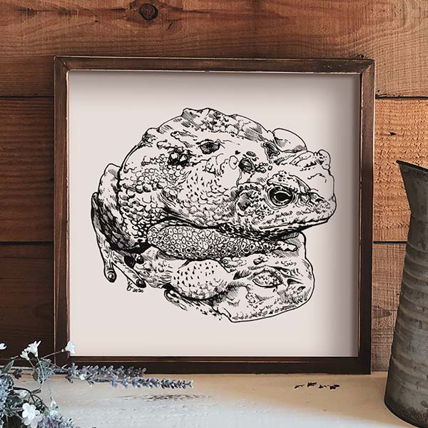 Toads Art Print - Toads Ink Drawing / Black & White Minimalist Extra Large Wall Art / Frog Art / Amphibians