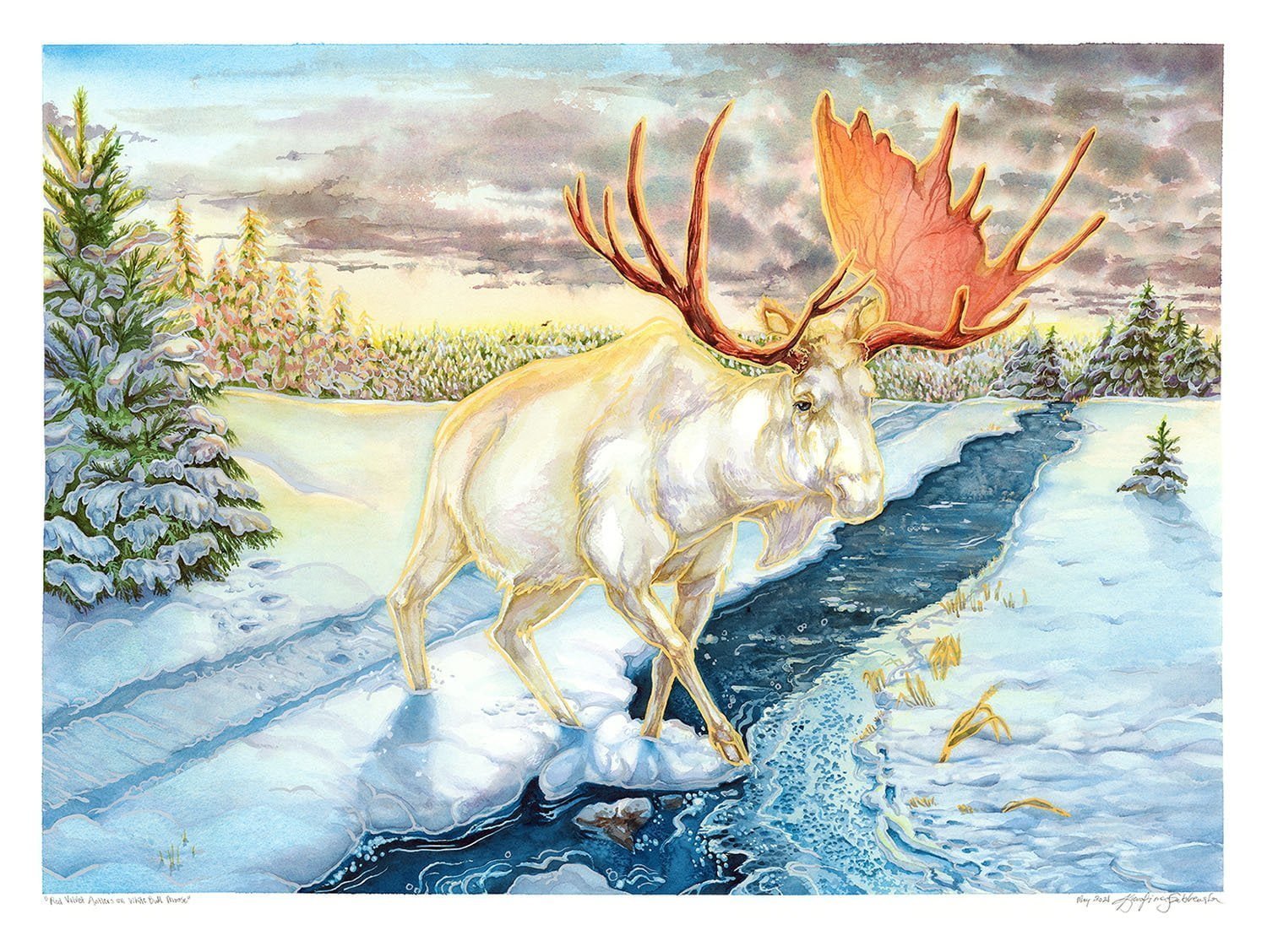 Red Velvet Antlers on Bull Moose watercolor painting by karolina szablewska
