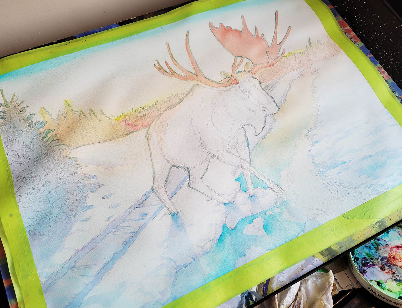 art process for albino moose watercolor painting by karolina szablewska