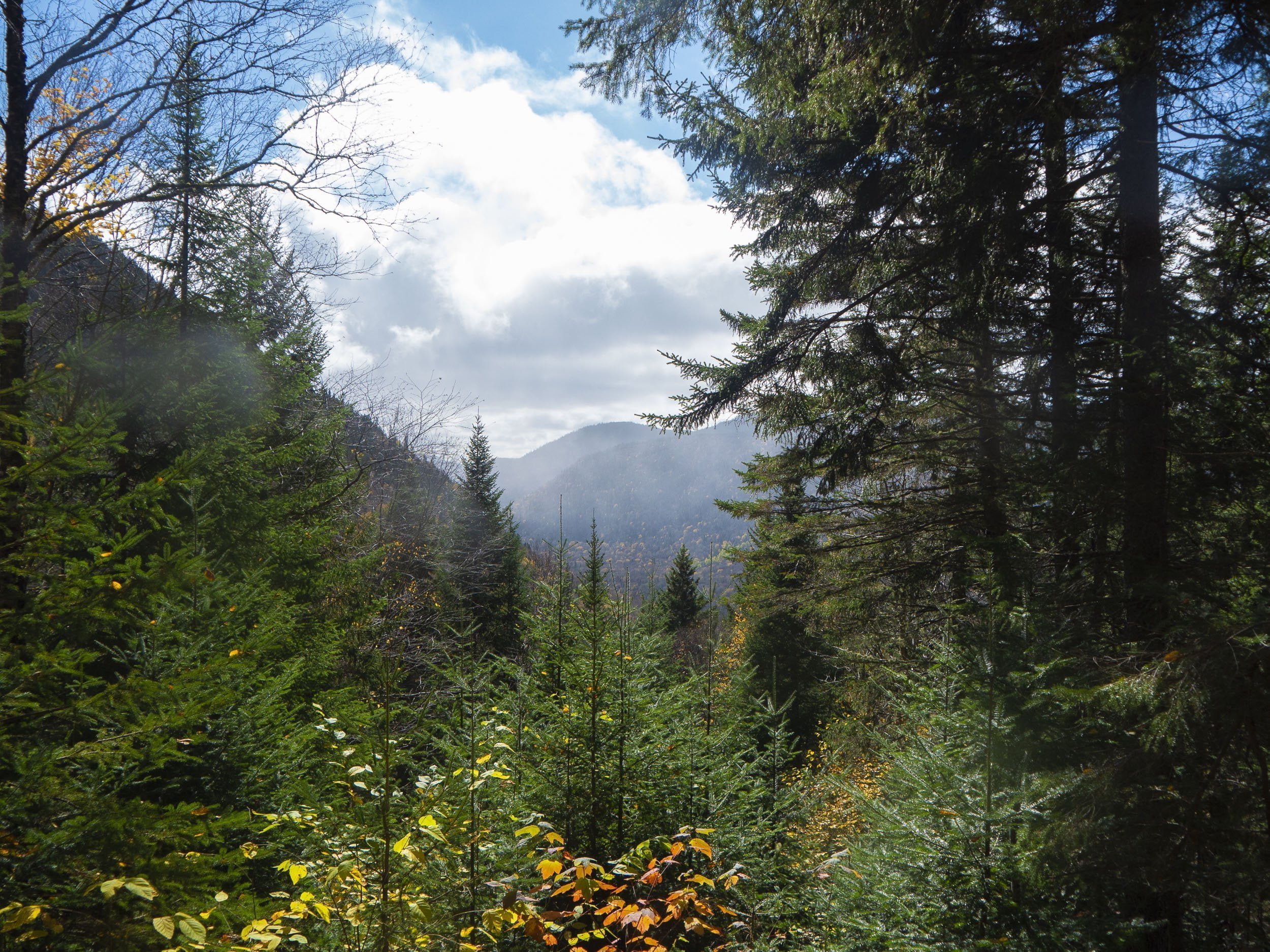 Hike on Sentier les Loups Collecting Art References by Karolina Szablewska