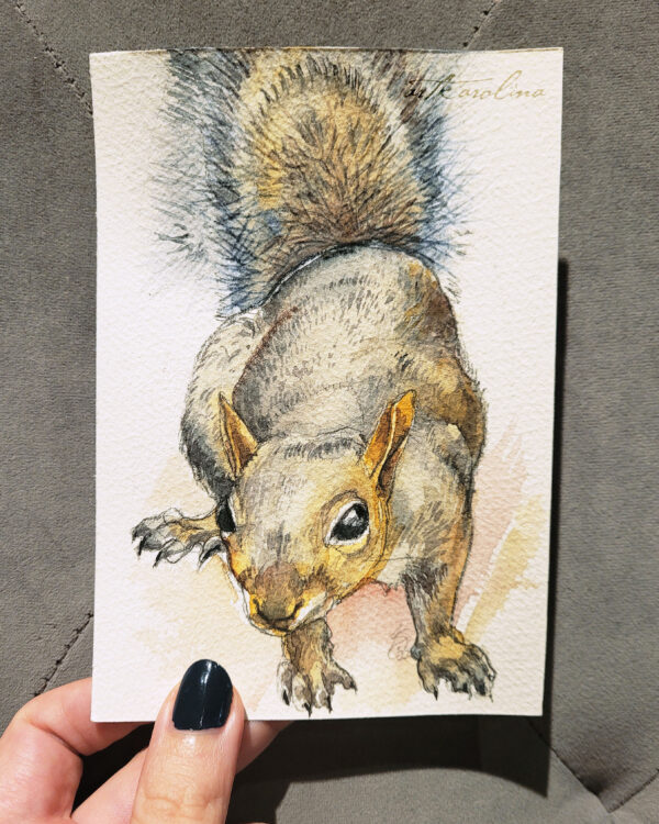 Watercolor Painting Original Art - 6"x4" Squirrel Sketches / Northern Animals / Wildlife Art by Karolina Szablewska