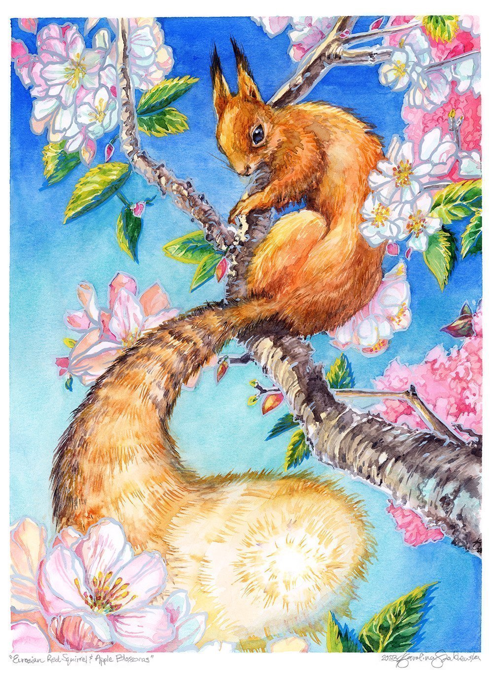 Northern Animal Art Series by Karolina Szablewska