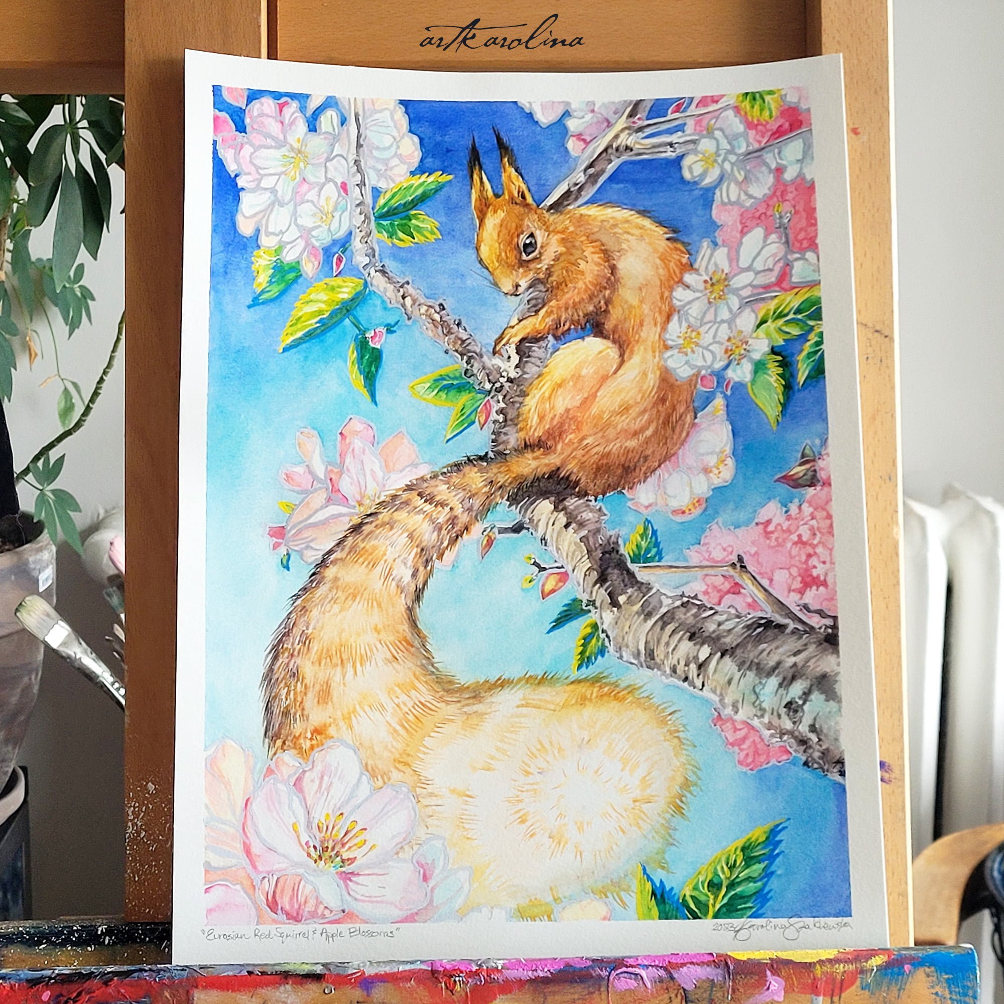 Squirrel Collection by Karolina Szablewska